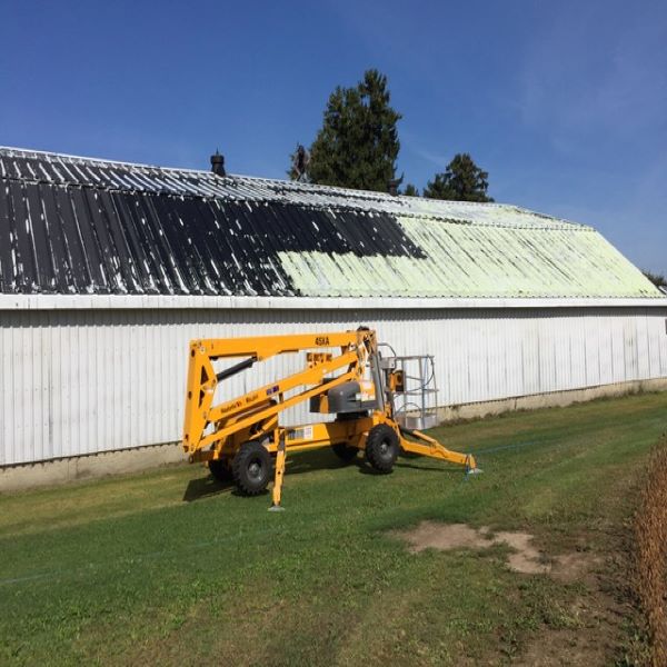 Liquid Rubber Colored Waterproof Sealant Metal Roof Leak Repair