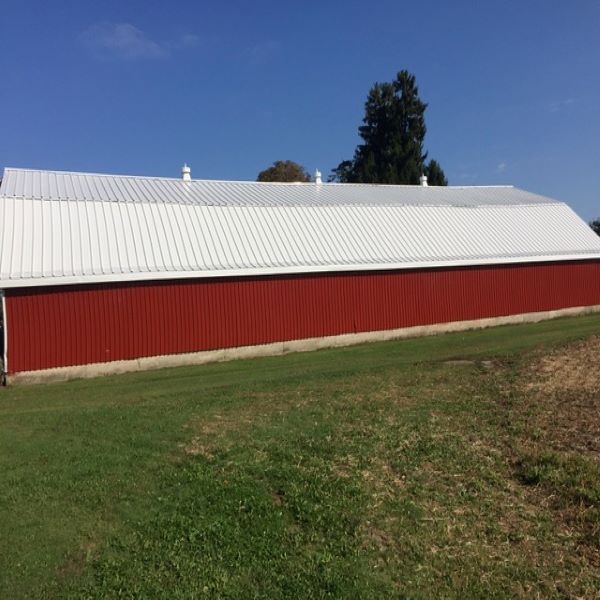 Liquid Rubber Colored Waterproof Sealant Metal Roof Leak Repair